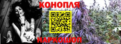 тгк Краснознаменск